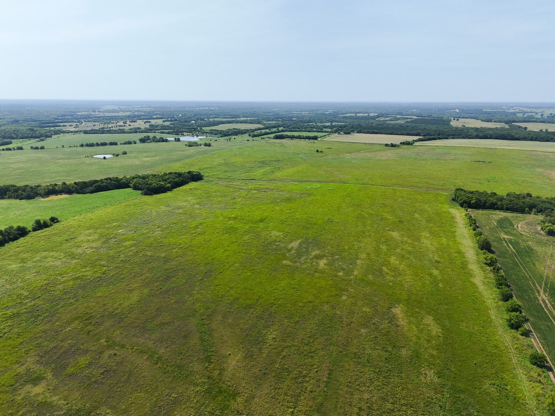 498.94 acres in Lamar County - photo 11