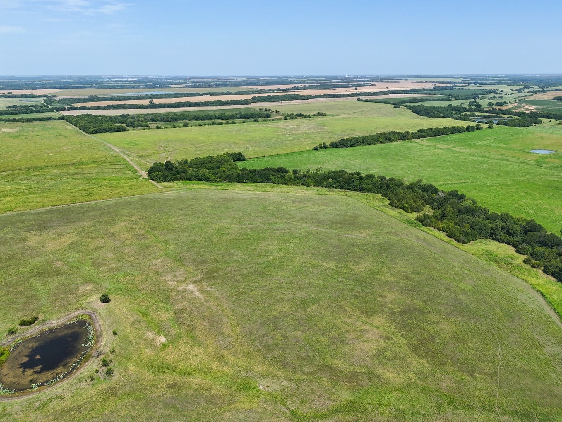 498.94 acres in Lamar County - photo 18