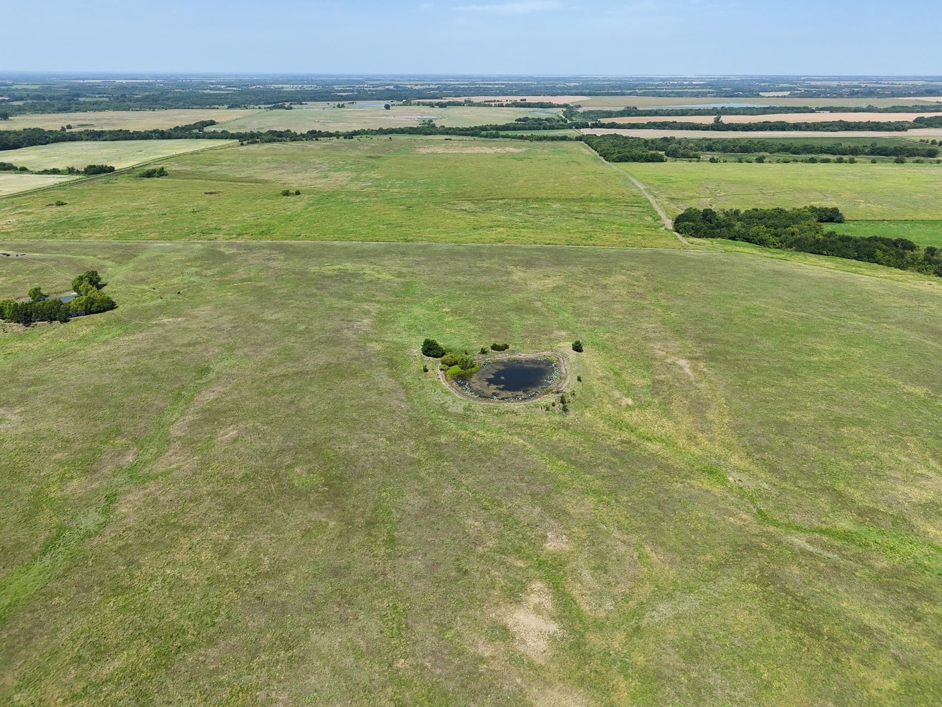 498.94 acres in Lamar County - photo 19
