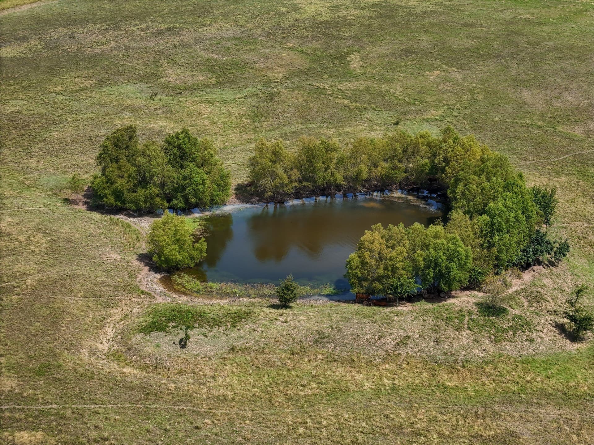 498.94 acres in Lamar County gallery image 4