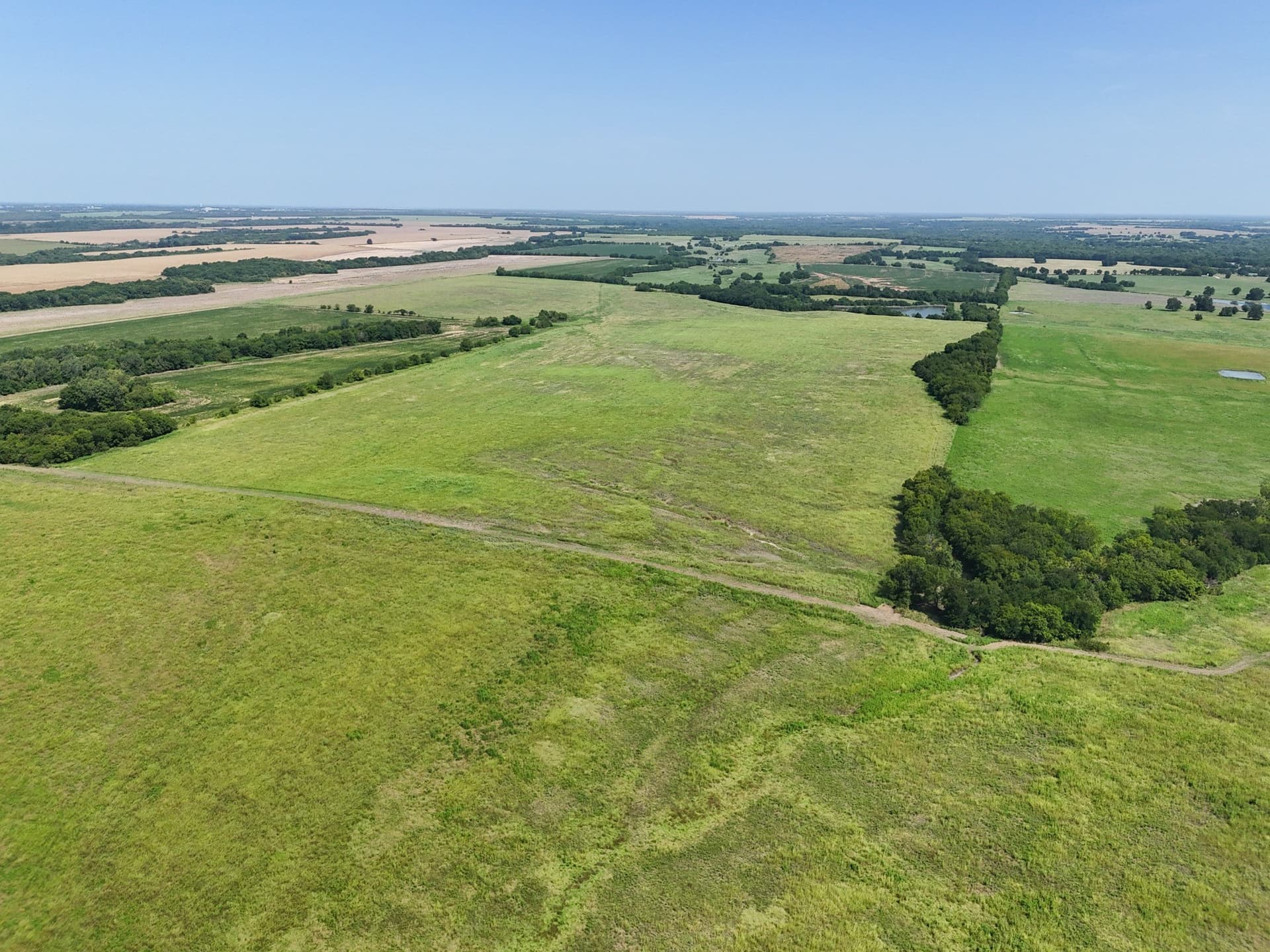 498.94 acres in Lamar County - photo 13