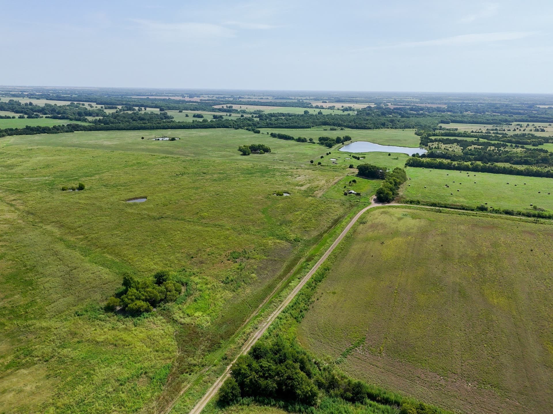 498.94 acres in Lamar County gallery image 3