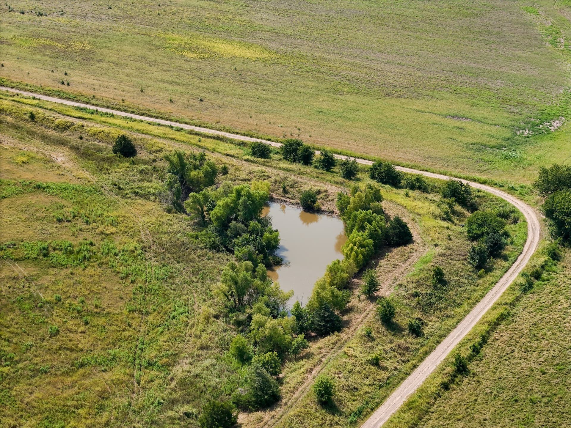 498.94 acres in Lamar County - photo 8