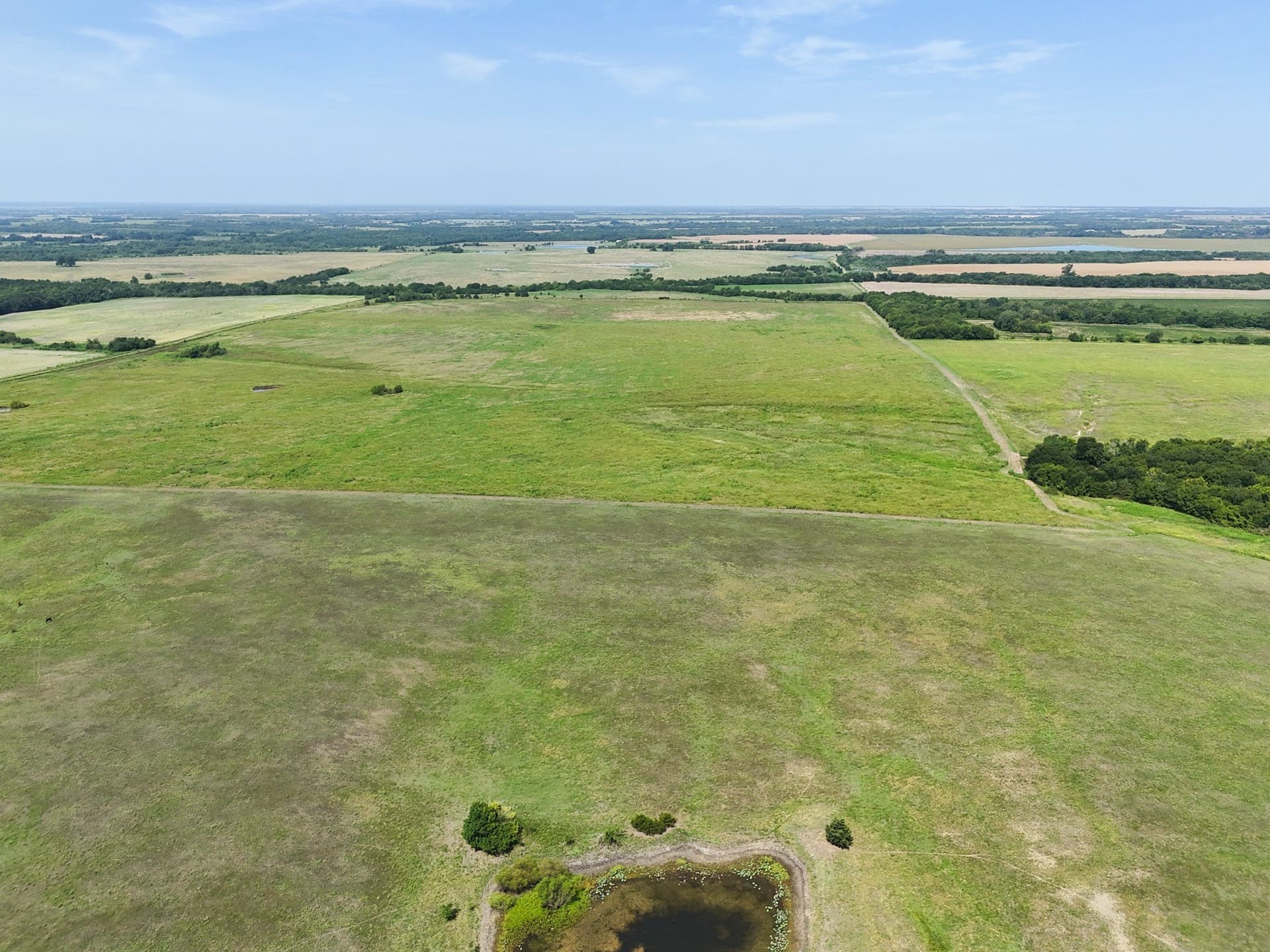 498.94 acres in Lamar County - photo 17