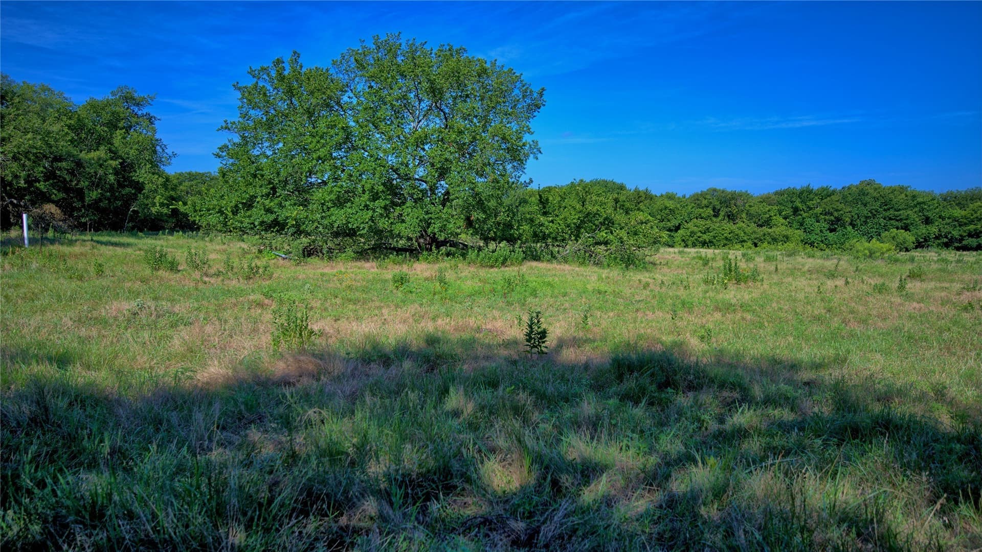 4 acres in Montague County - photo 3