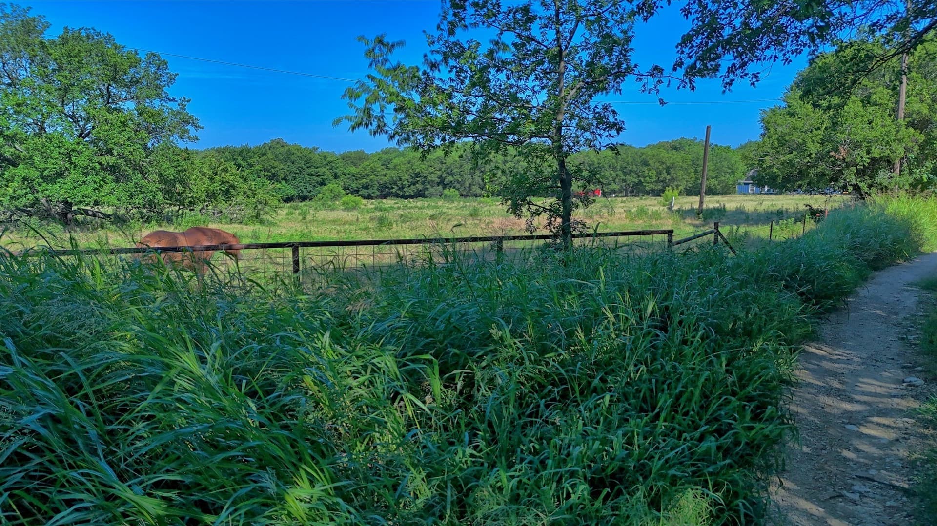 4 acres in Montague County - photo 6