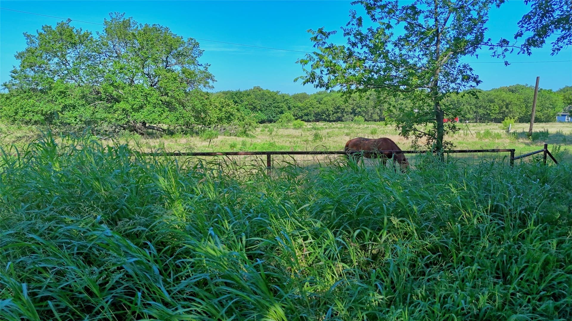 4 acres in Montague County - photo 2