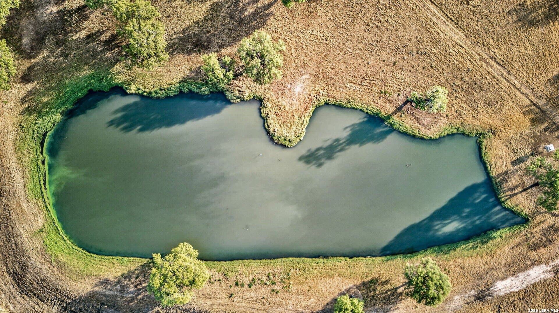 717.17 acres in Atascosa County - photo 8