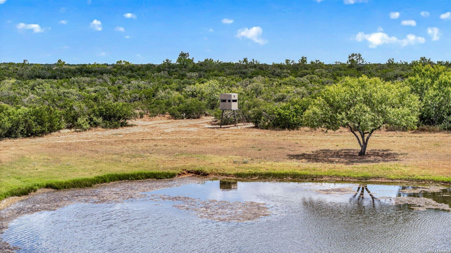 717.17 acres in Atascosa County - photo 89