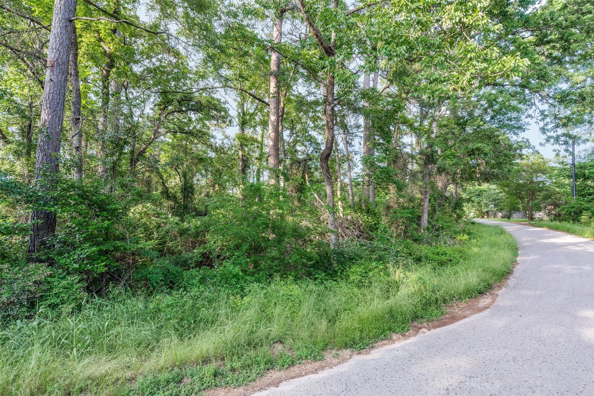0.2 acres in Henderson County - photo 6