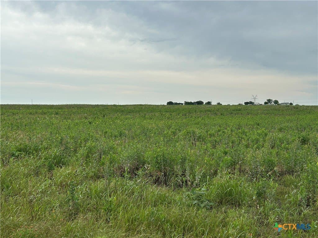 20 acres in Bell County gallery image 4