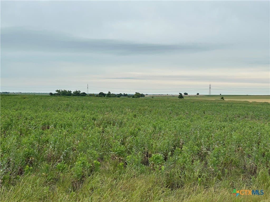 20 acres in Bell County - photo 6