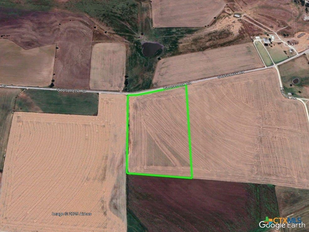 20 acres in Bell County gallery image 2