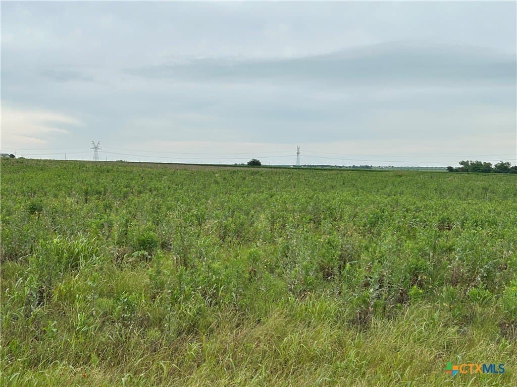 20 acres in Bell County featured view