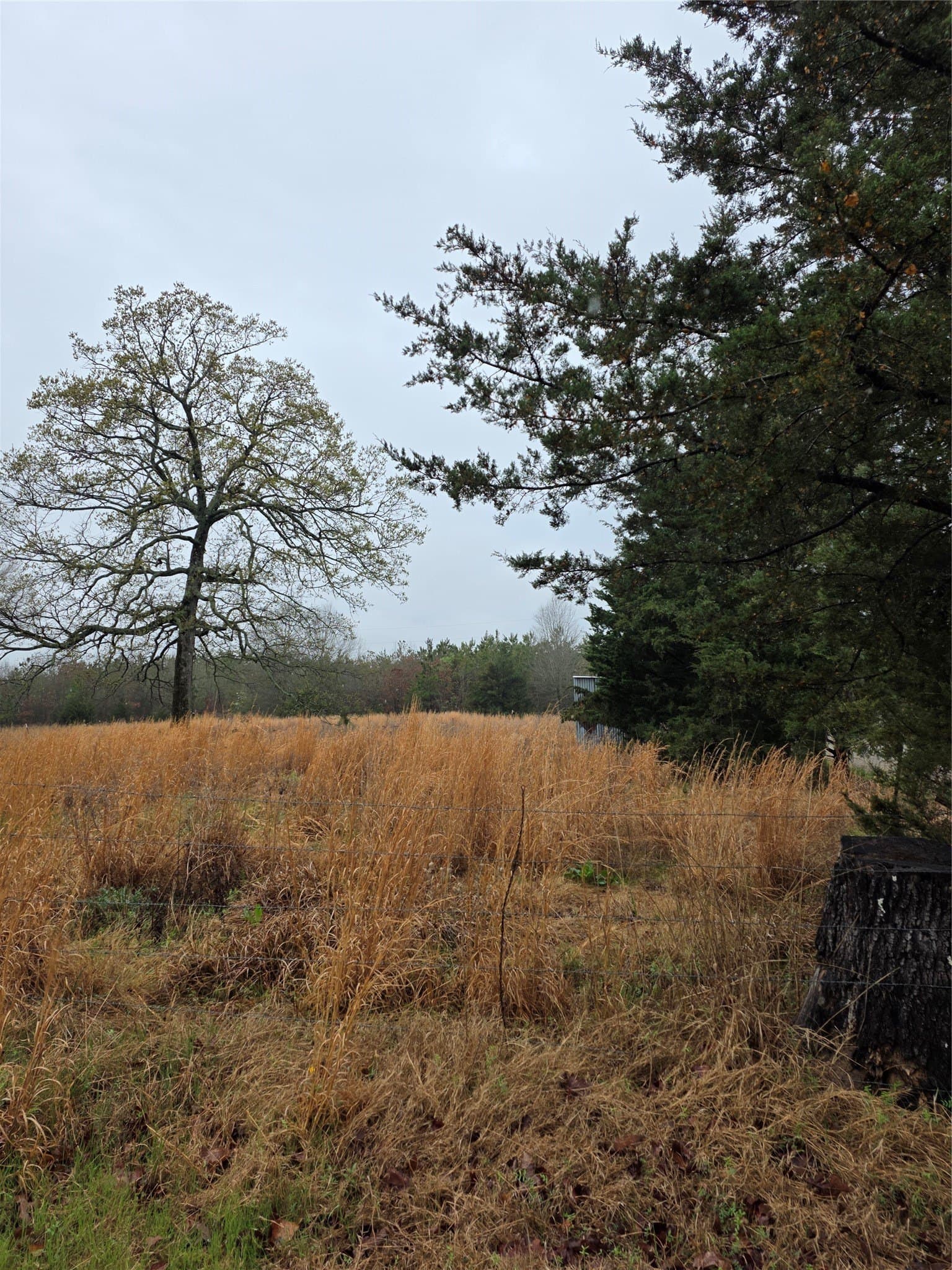 18.45 acres in Lamar County - photo 2