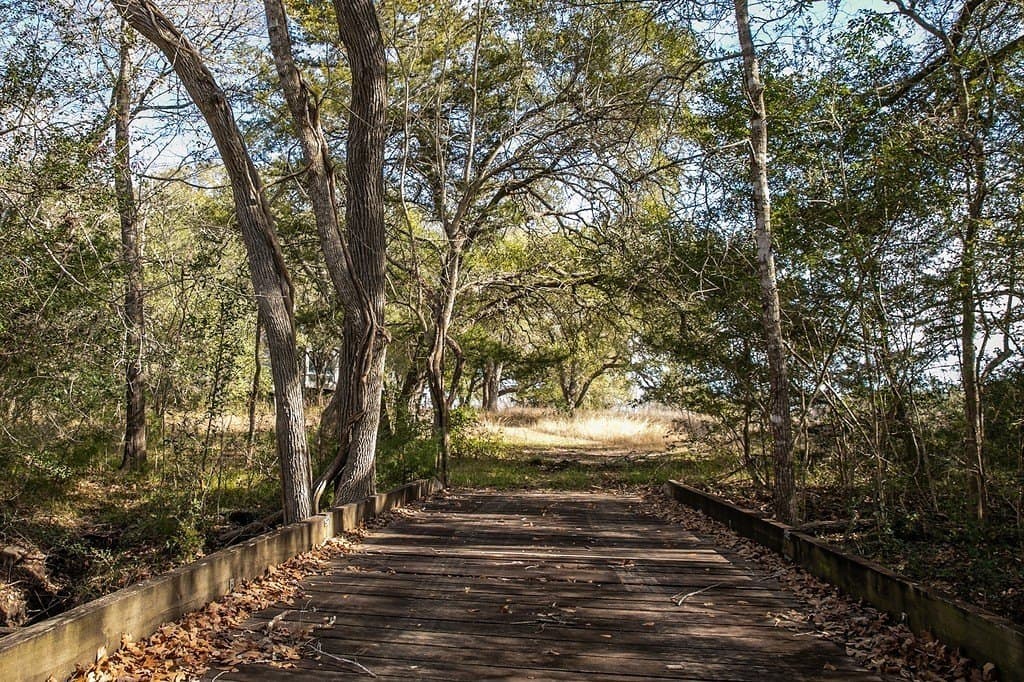 22.15 acres in Washington County gallery image 2