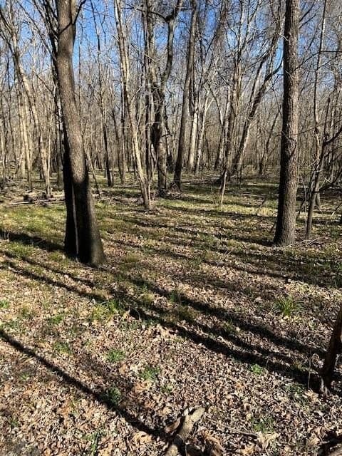 46.54 acres in Red River (TX) County featured view