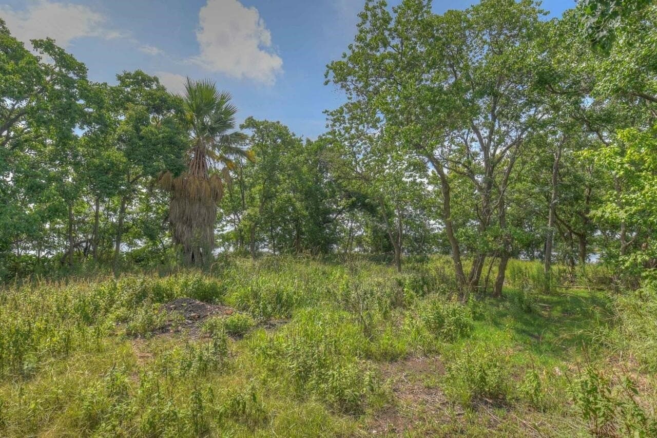 10.52 acres in Llano County - photo 14