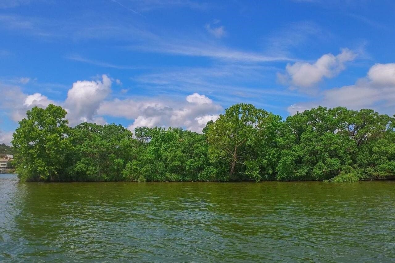 10.52 acres in Llano County - photo 29