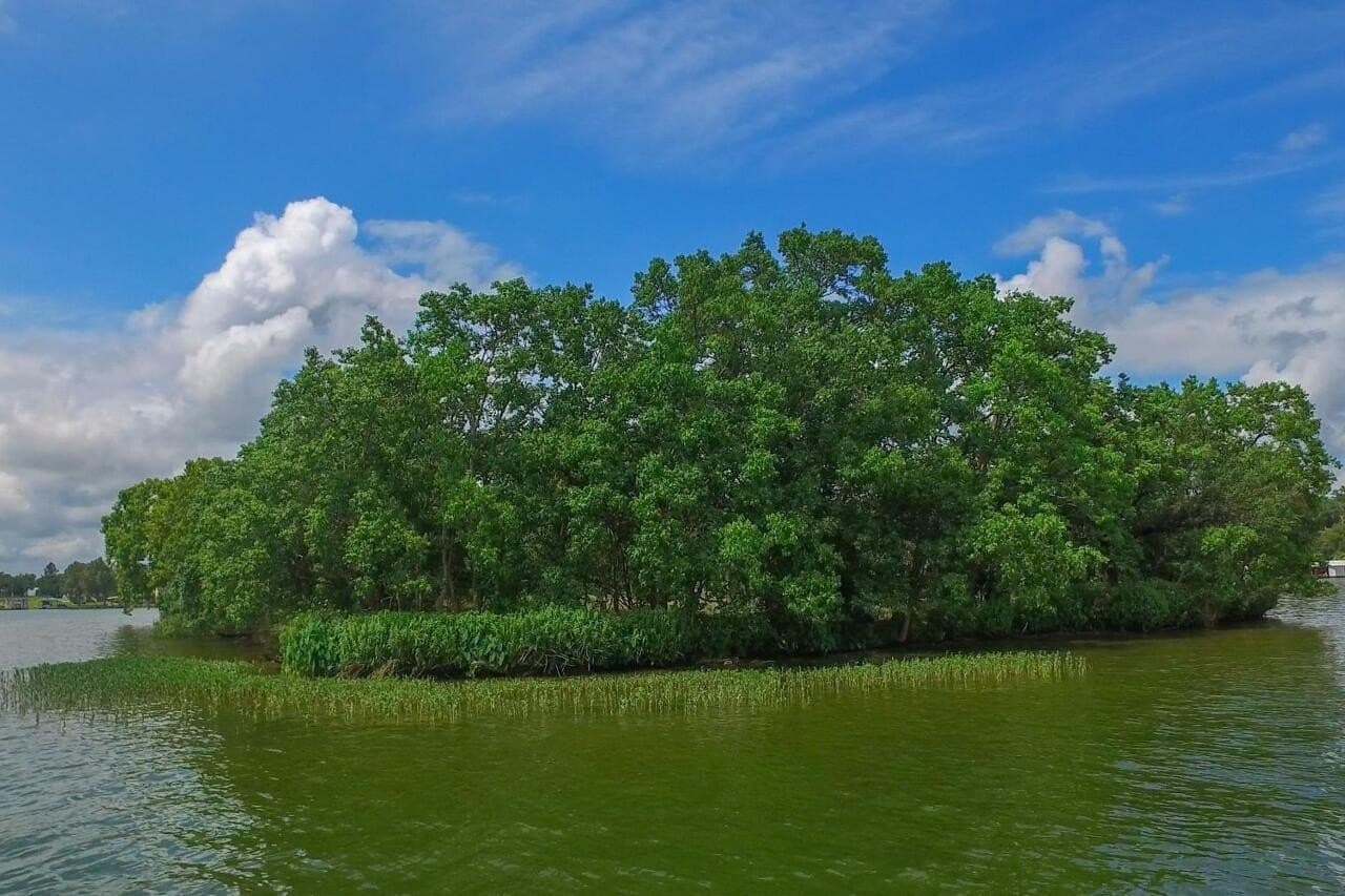 10.52 acres in Llano County - photo 28