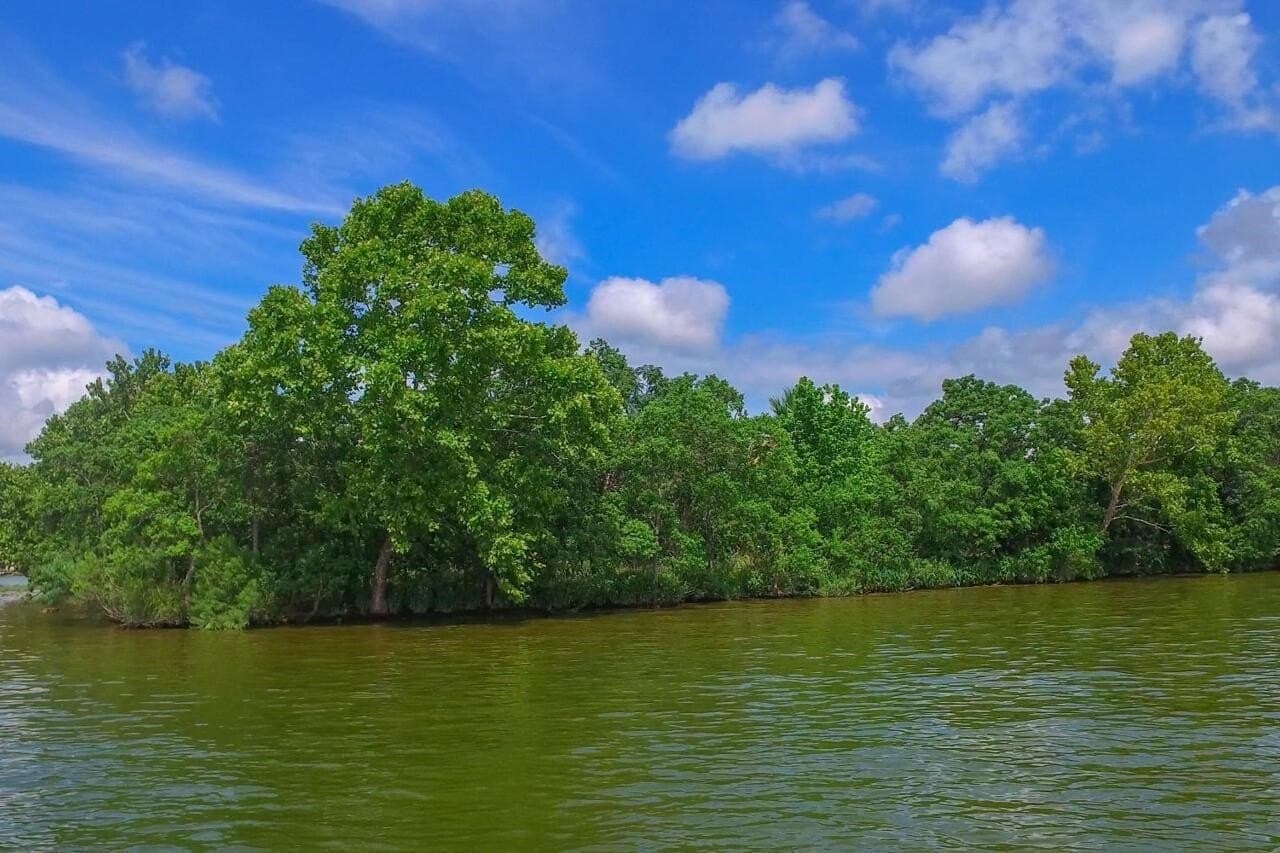 10.52 acres in Llano County - photo 30
