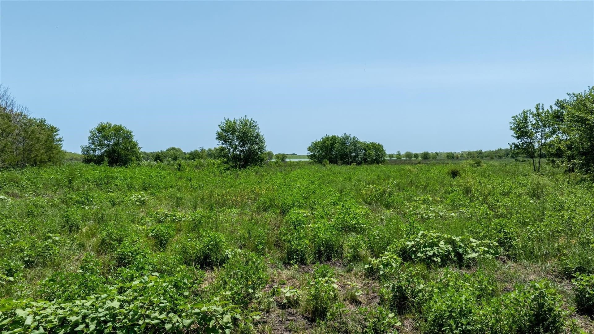 10.88 acres in Navarro County - photo 7