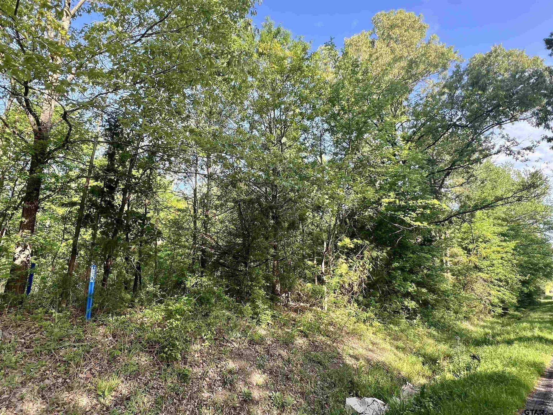 1.5 acres in Titus County gallery image 2