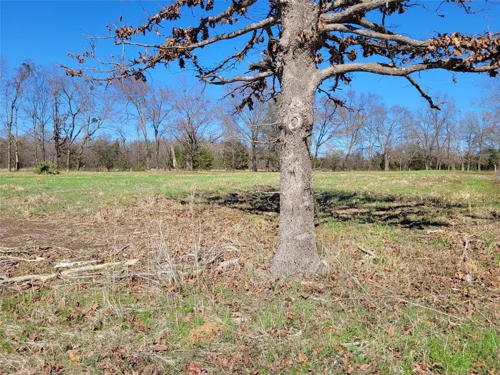 1.97 acres in Red River (TX) County gallery image 3