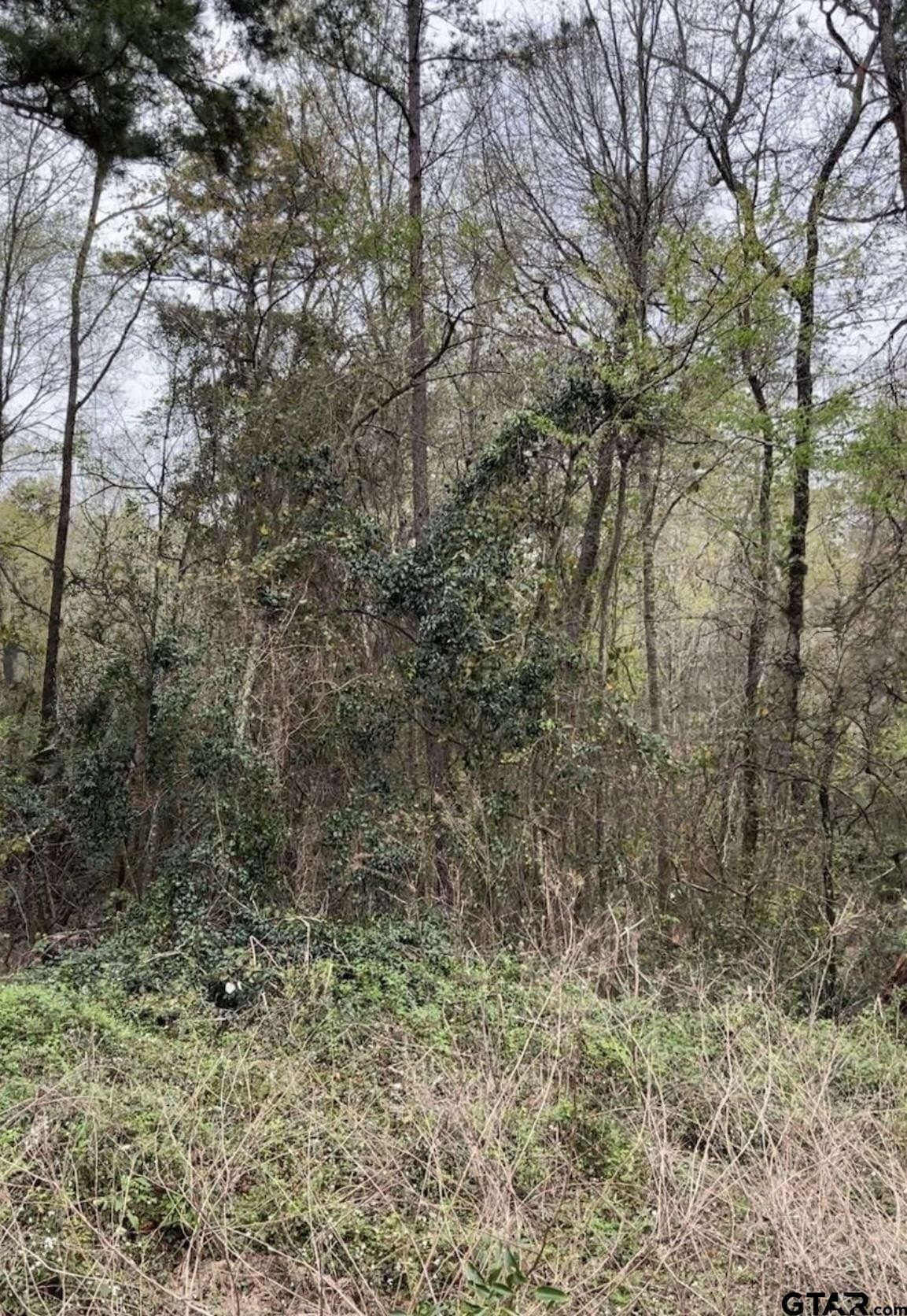 17.47 acres in Smith County gallery image 2