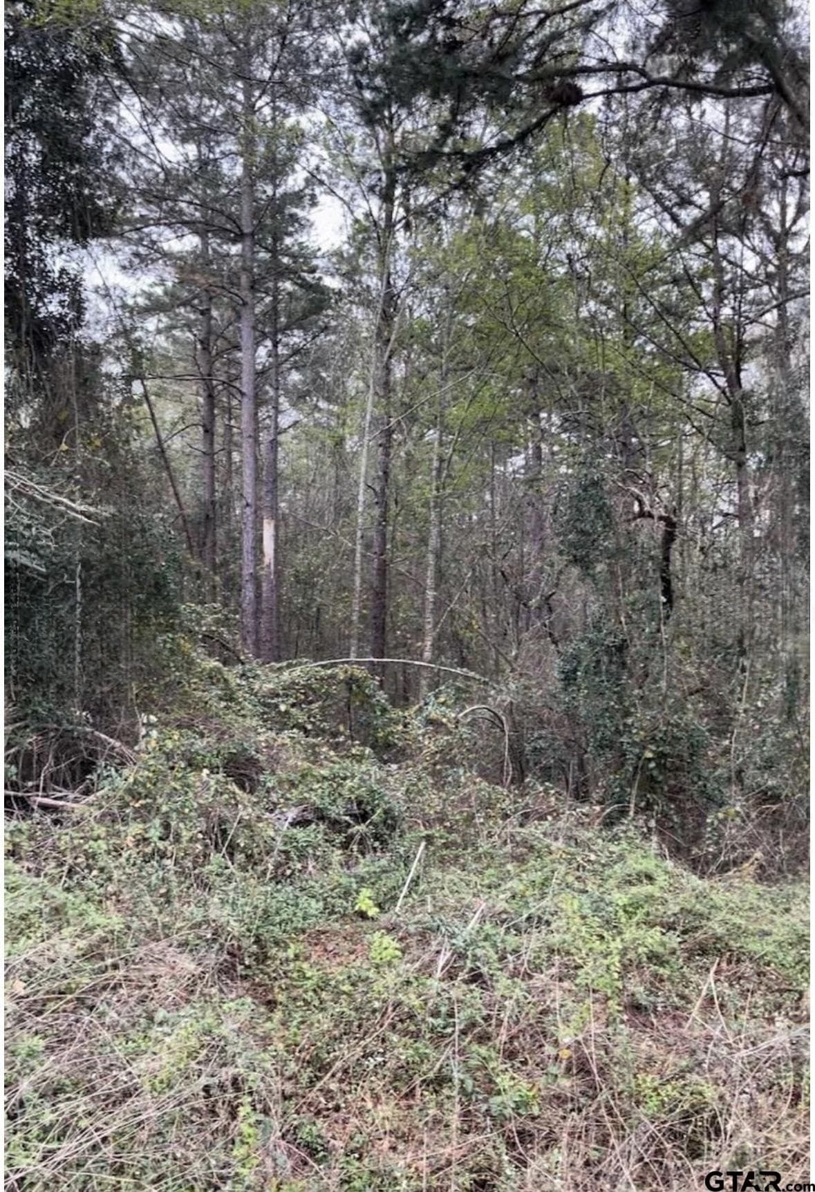 17.47 acres in Smith County gallery image 4