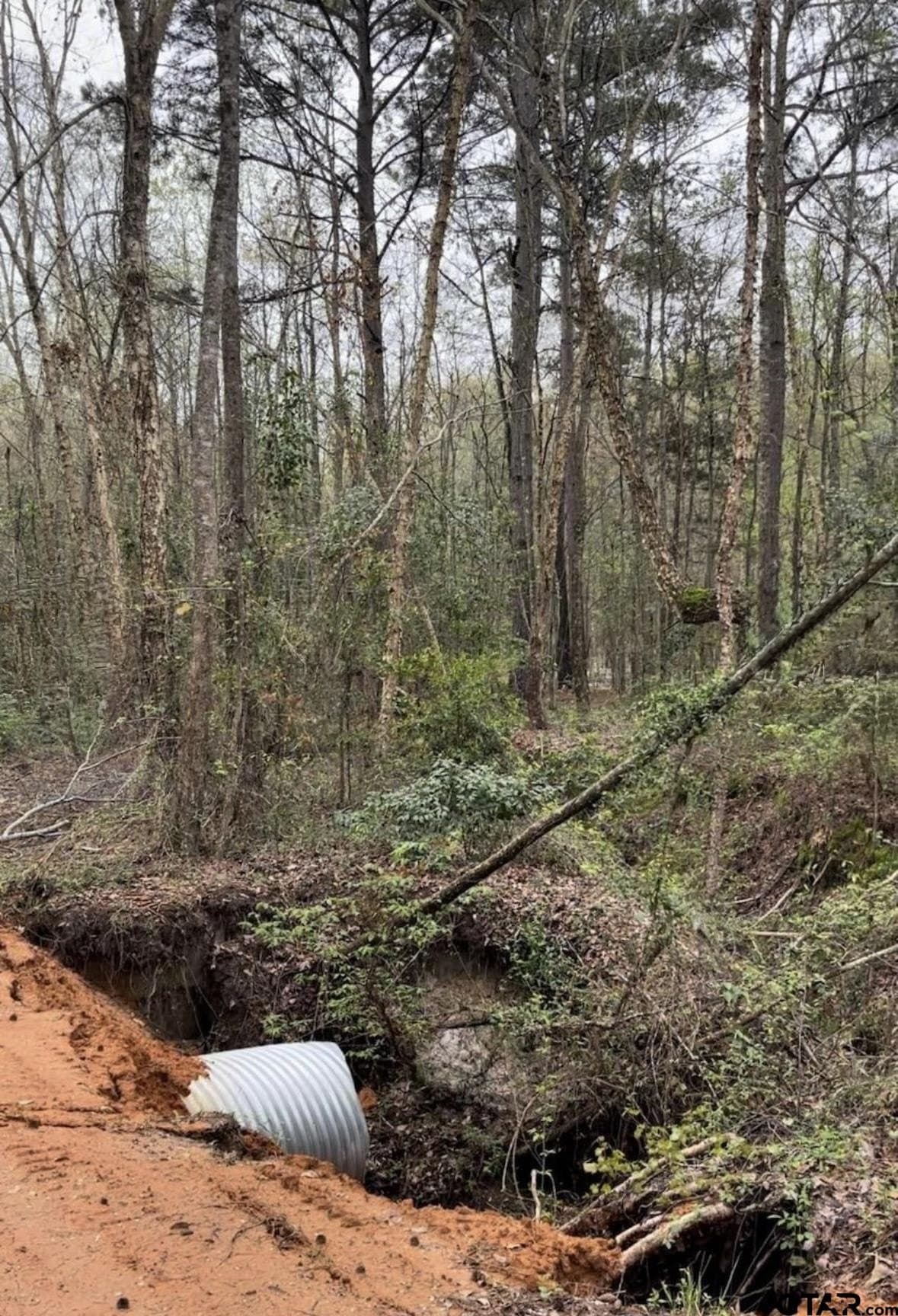 17.47 acres in Smith County featured view