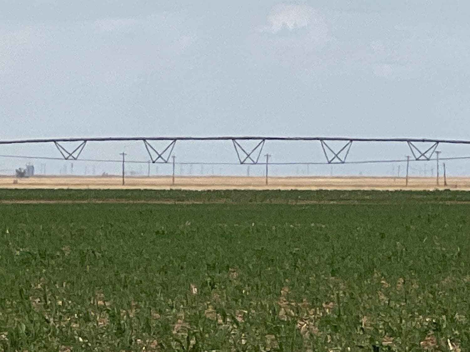 257.5 acres in Hale County