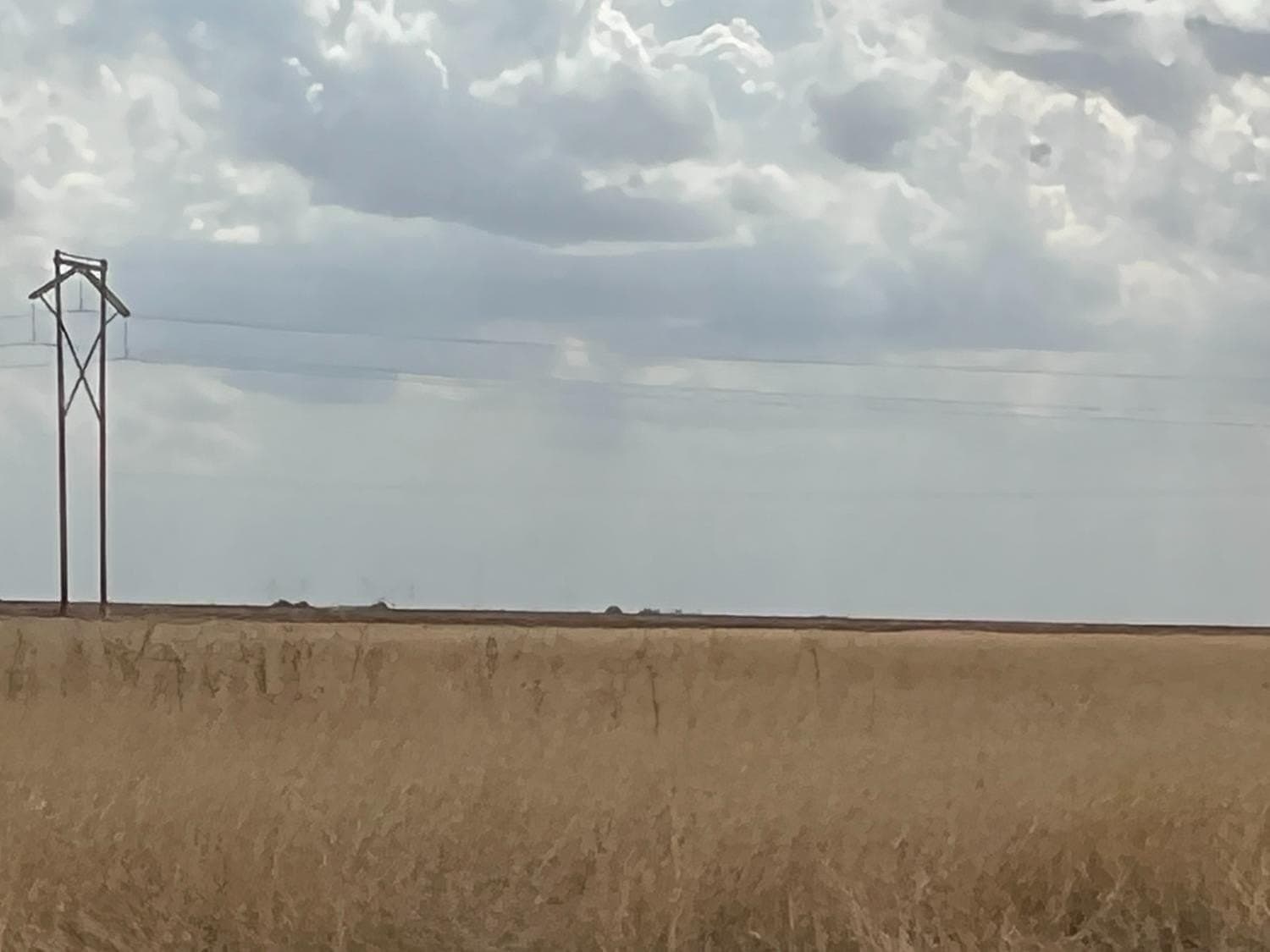 257.5 acres in Hale County featured view