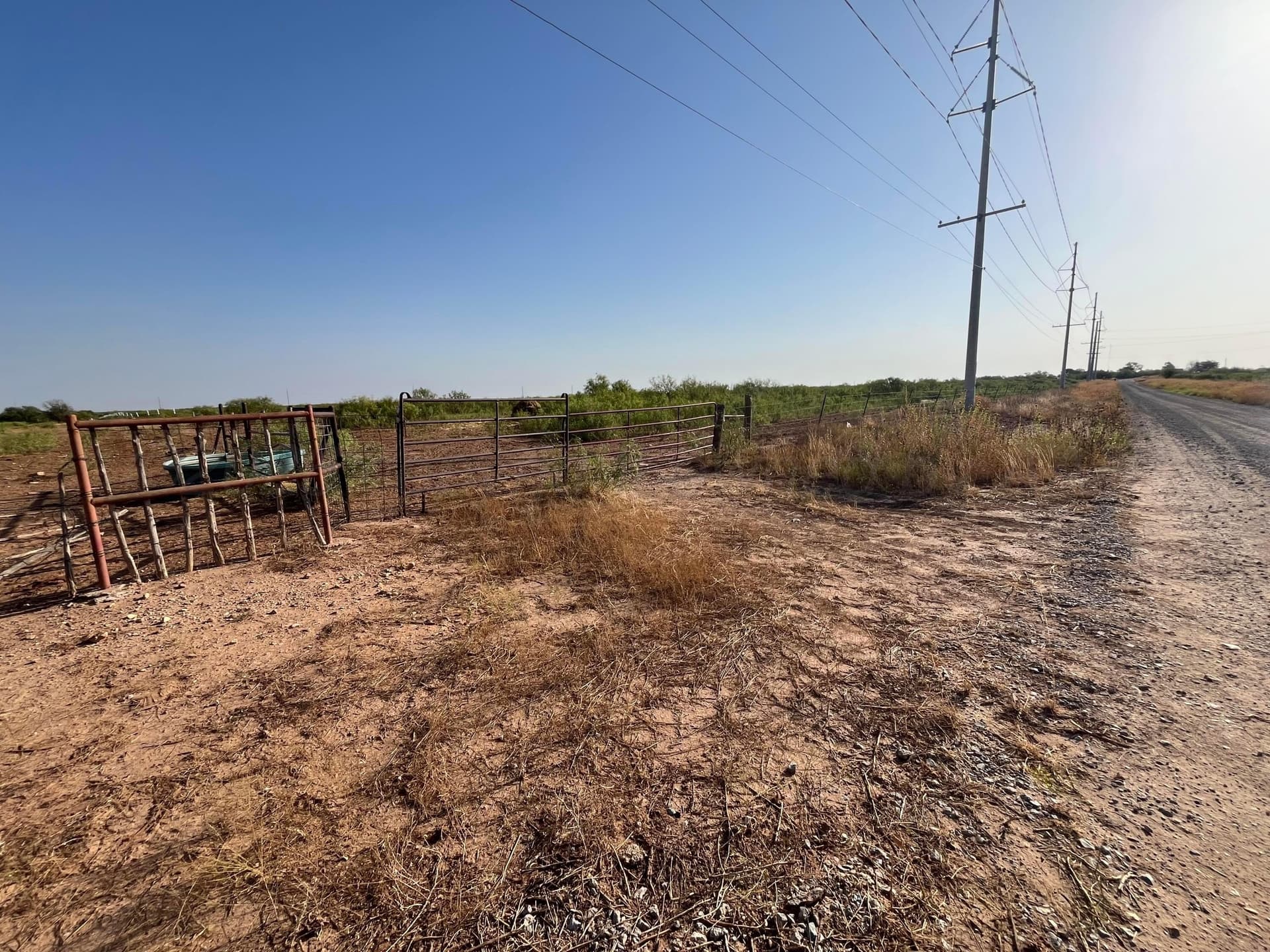 80 acres in Hardeman County - photo 5