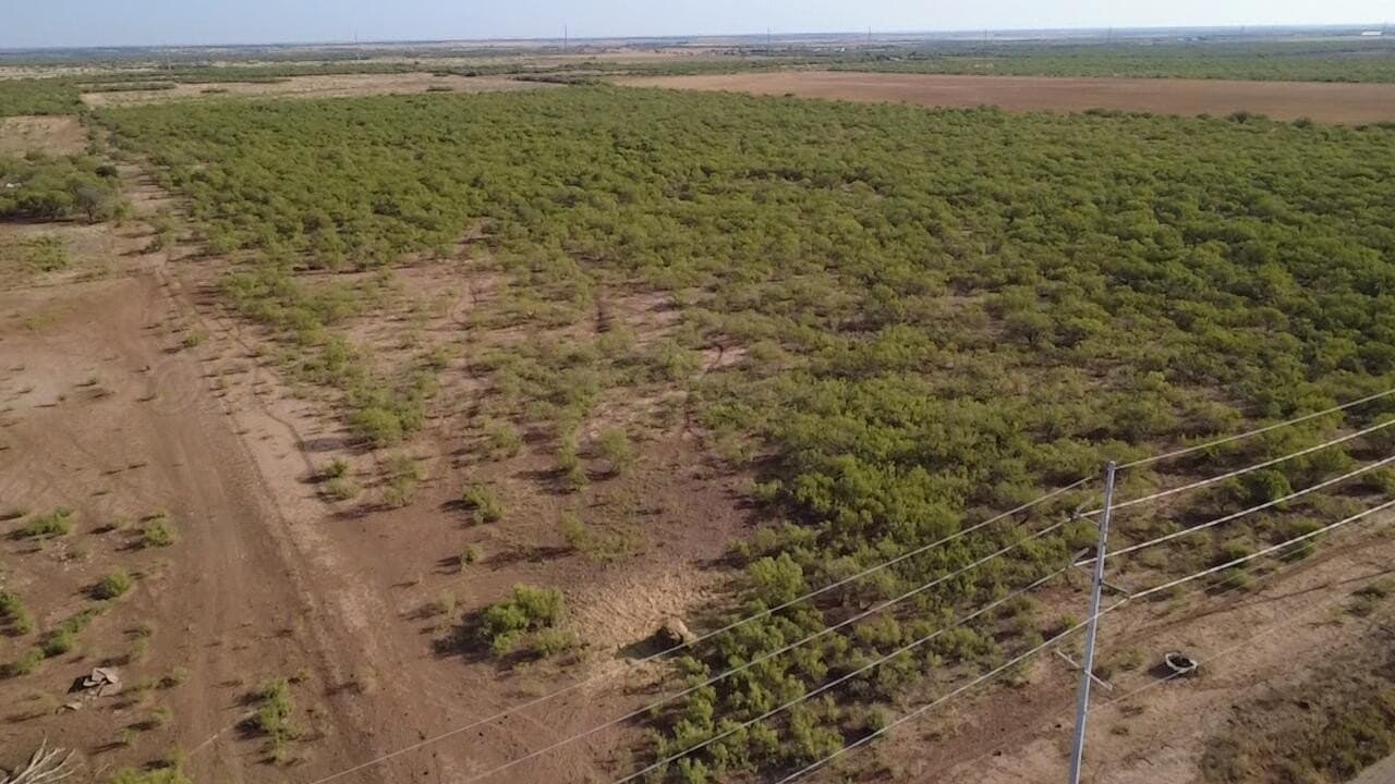 80 acres in Hardeman County - photo 2