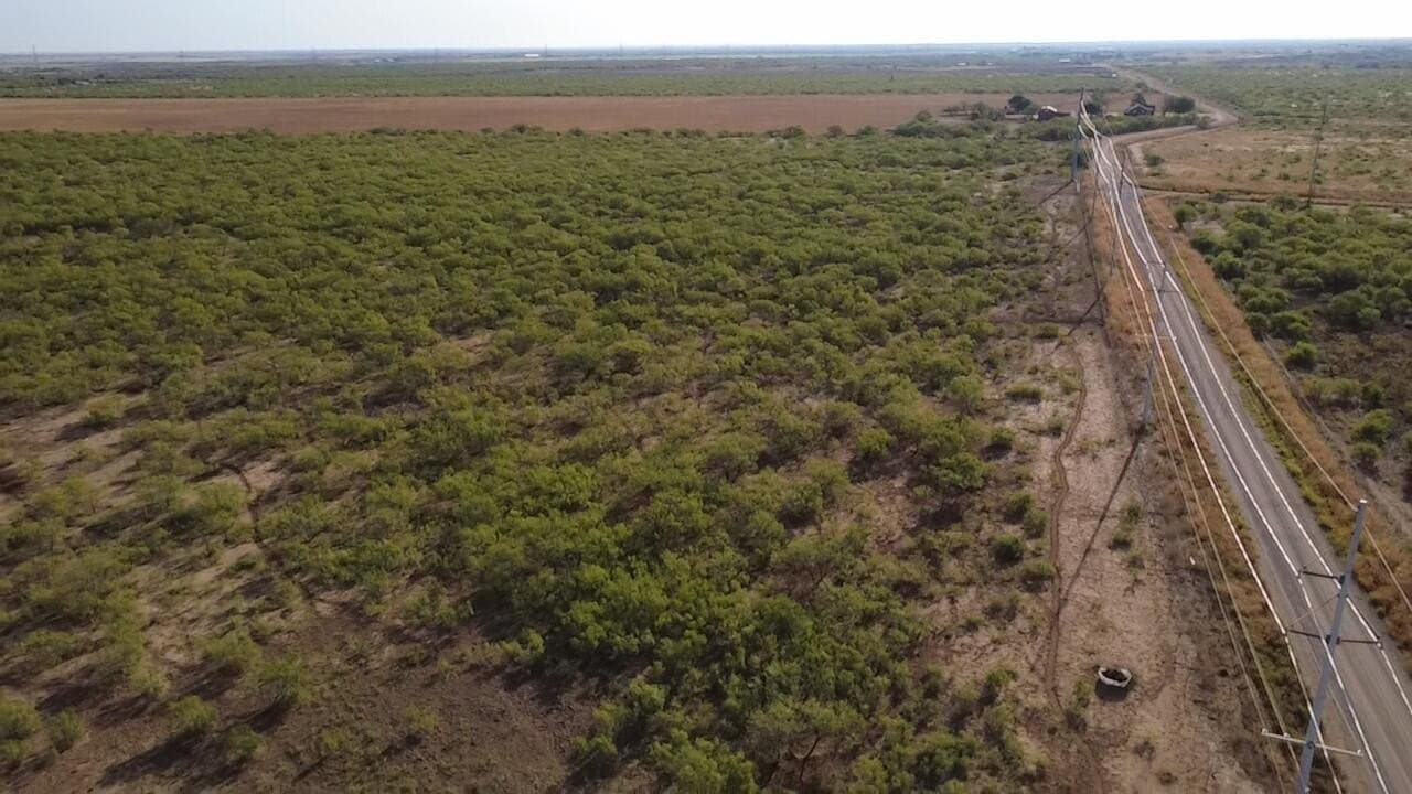 80 acres in Hardeman County - photo 3