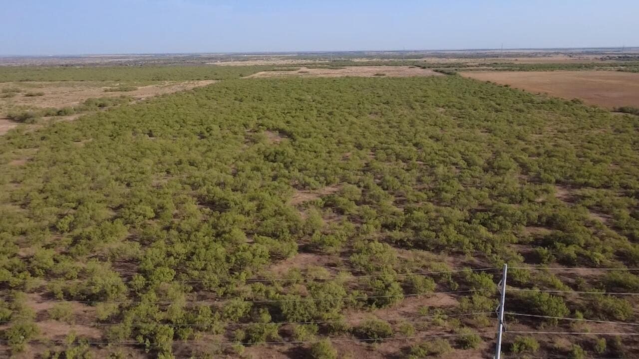 80 acres in Hardeman County - photo 4