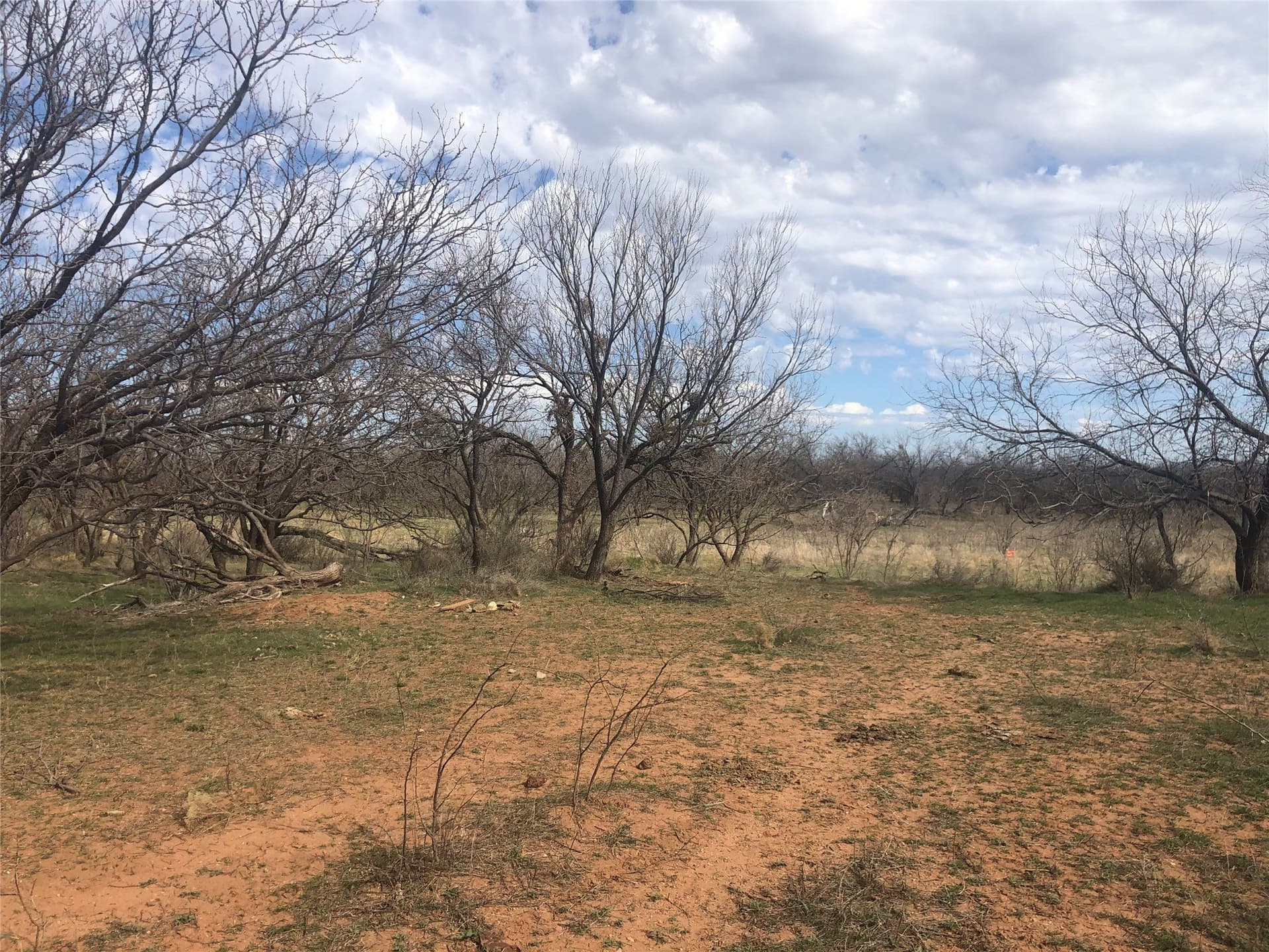 90 acres in Taylor County gallery image 3
