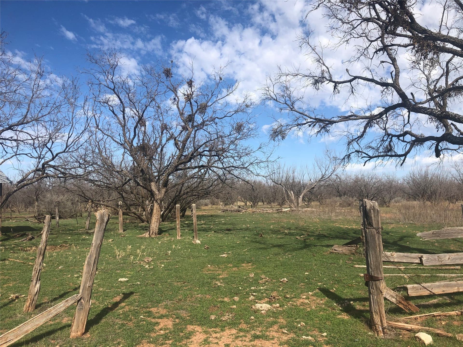 90 acres in Taylor County - photo 8