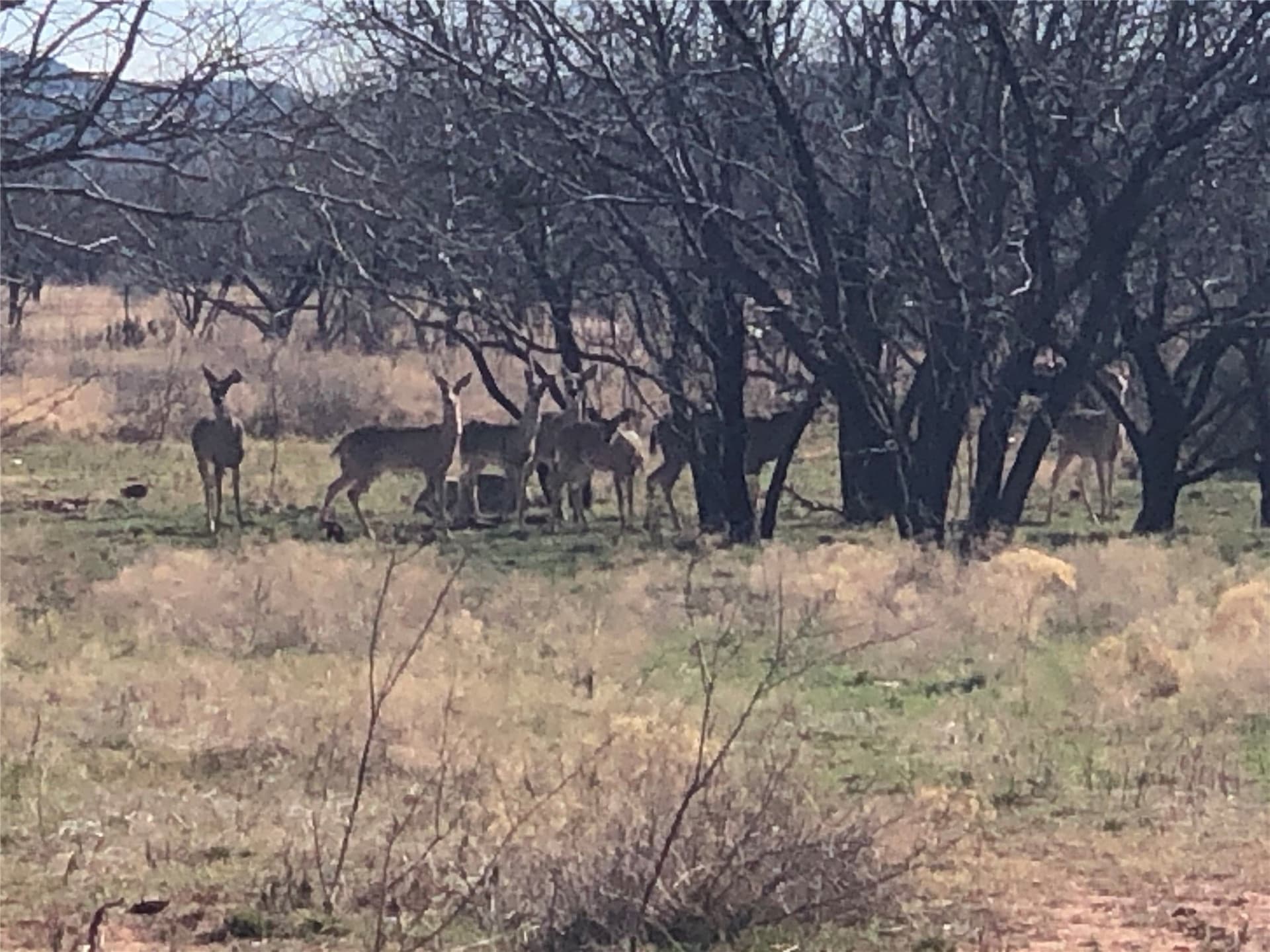 90 acres in Taylor County featured view