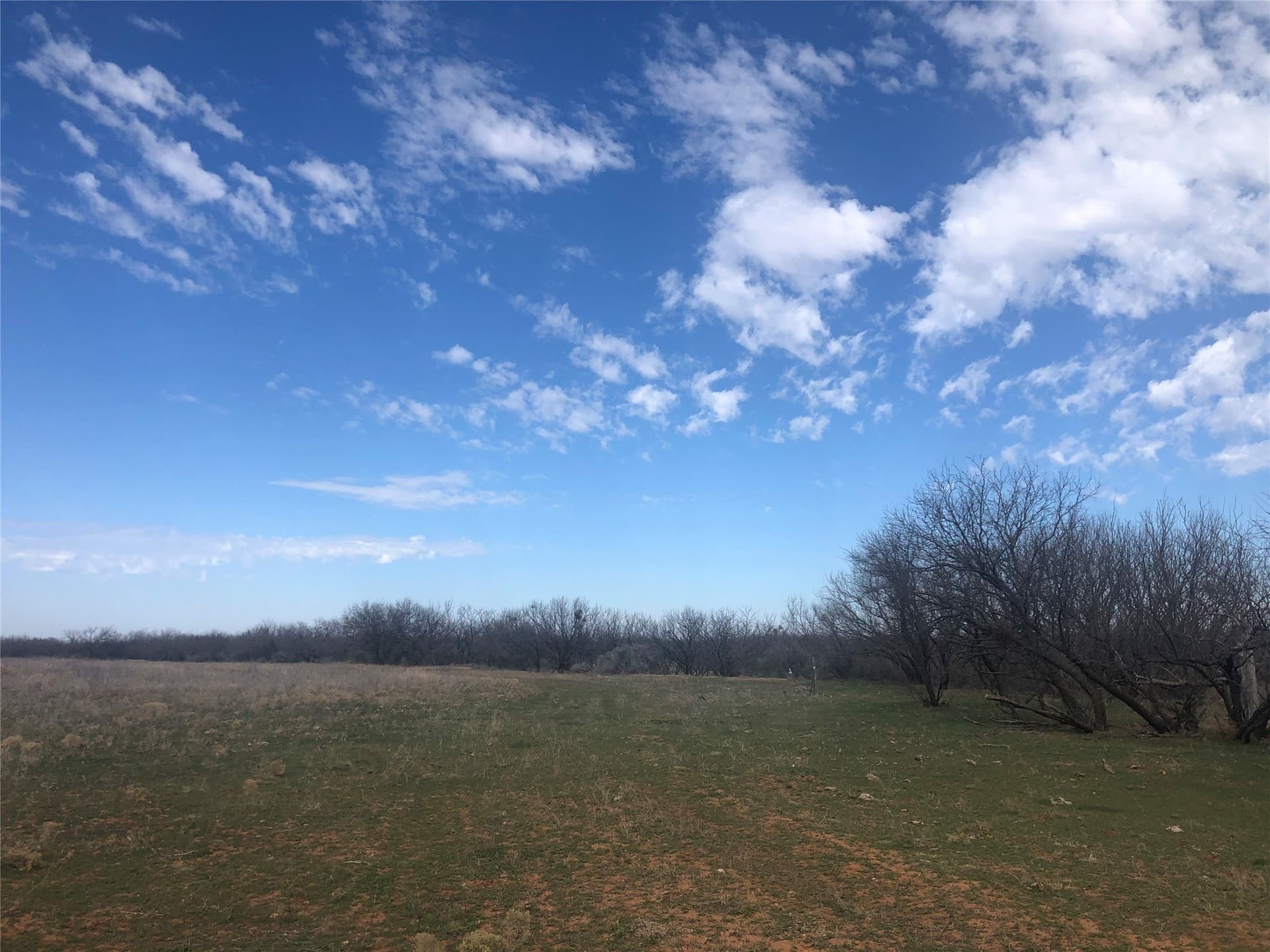 90 acres in Taylor County gallery image 2
