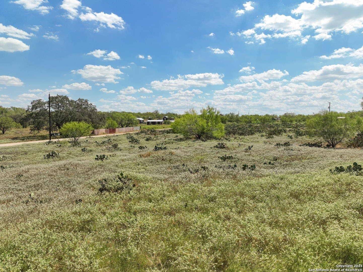 4.59 acres in Frio County gallery image 4