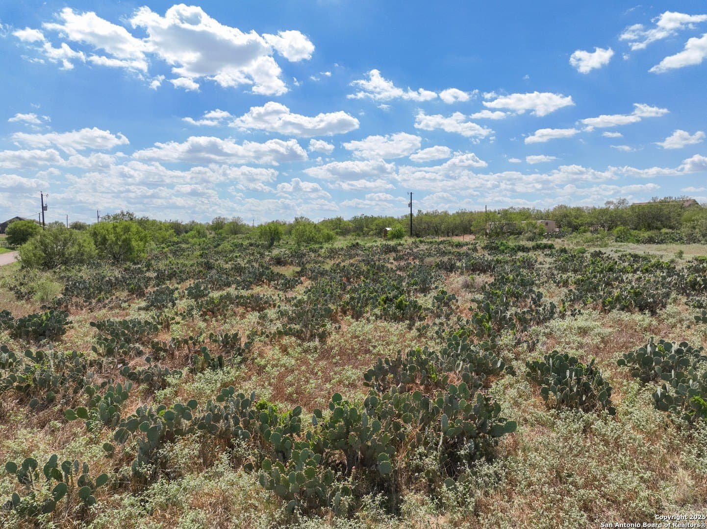 4.59 acres in Frio County featured view