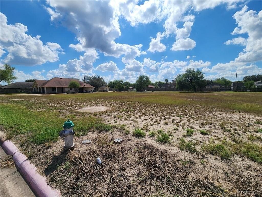 0.53 acres in Hidalgo County gallery image 2