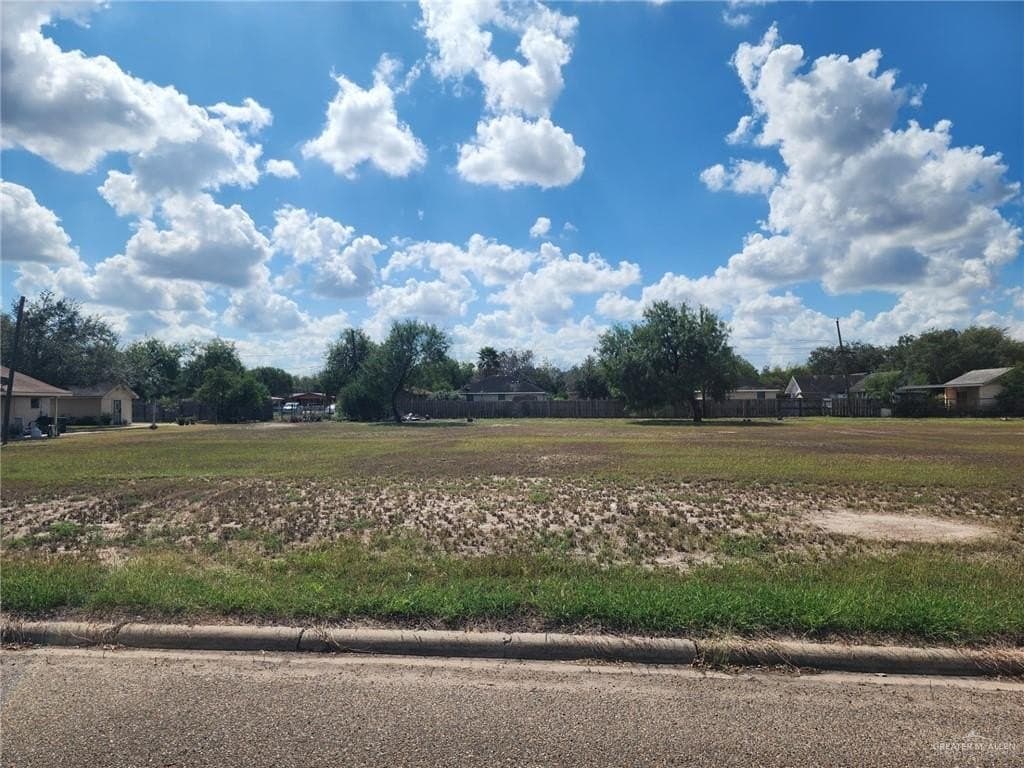0.53 acres in Hidalgo County gallery image 4