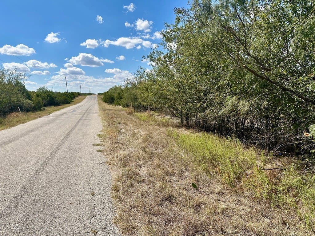 22 acres in Nolan County gallery image 3