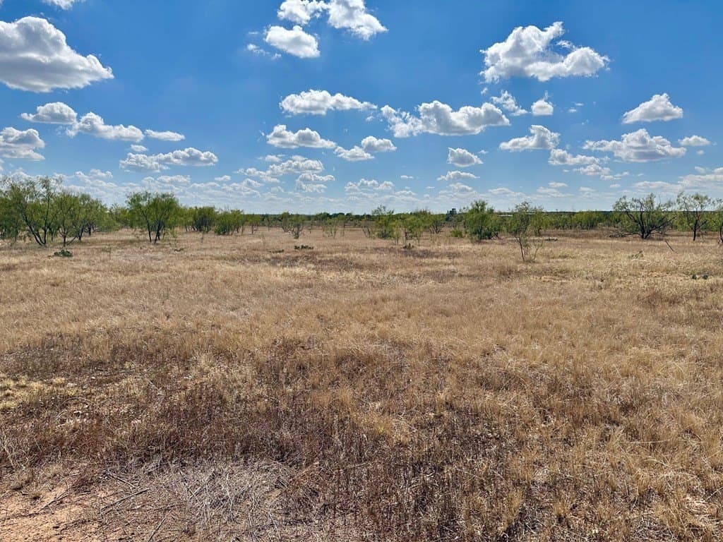 22 acres in Nolan County gallery image 4