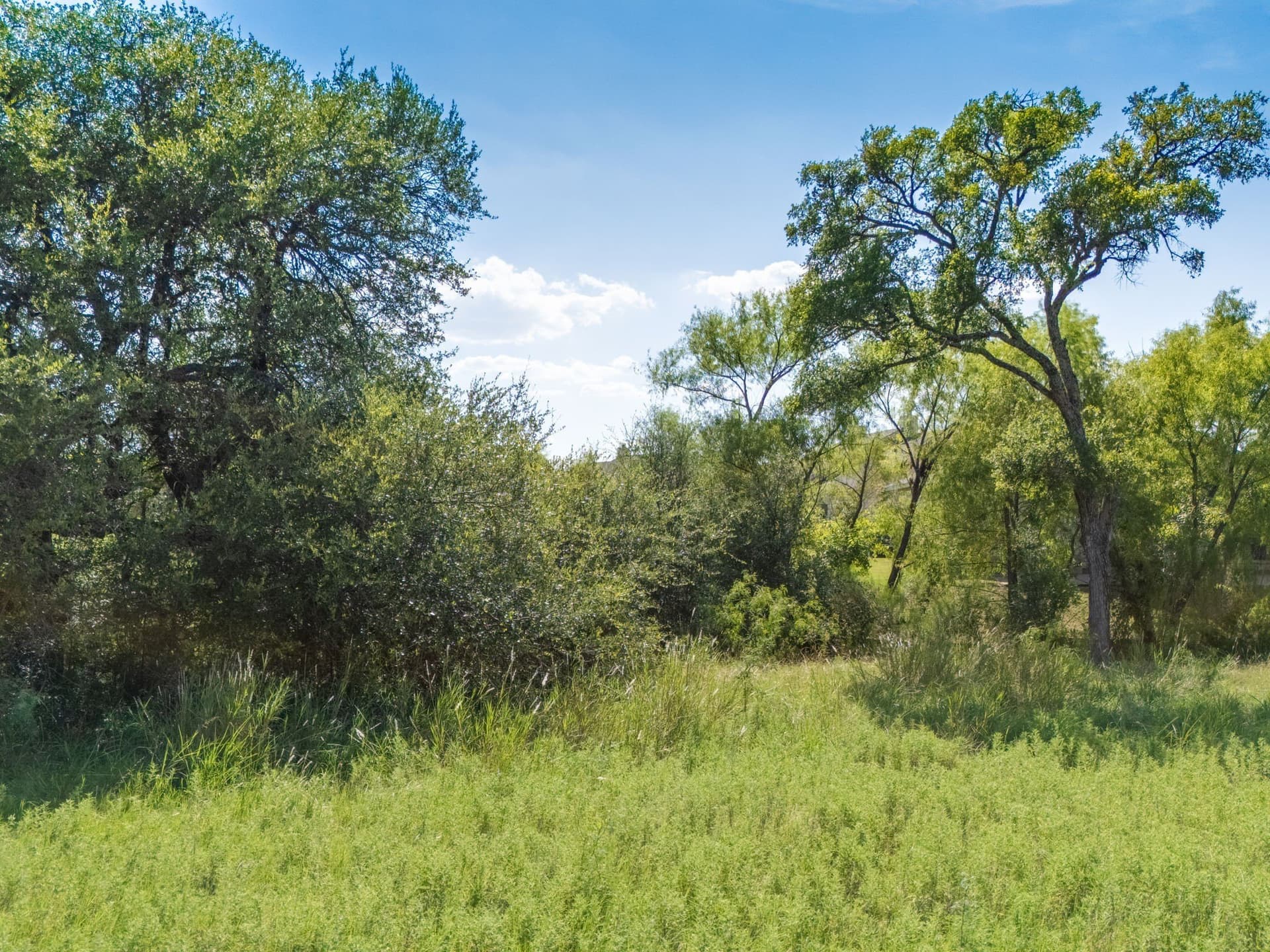 0.27 acres in Hill County gallery image 2