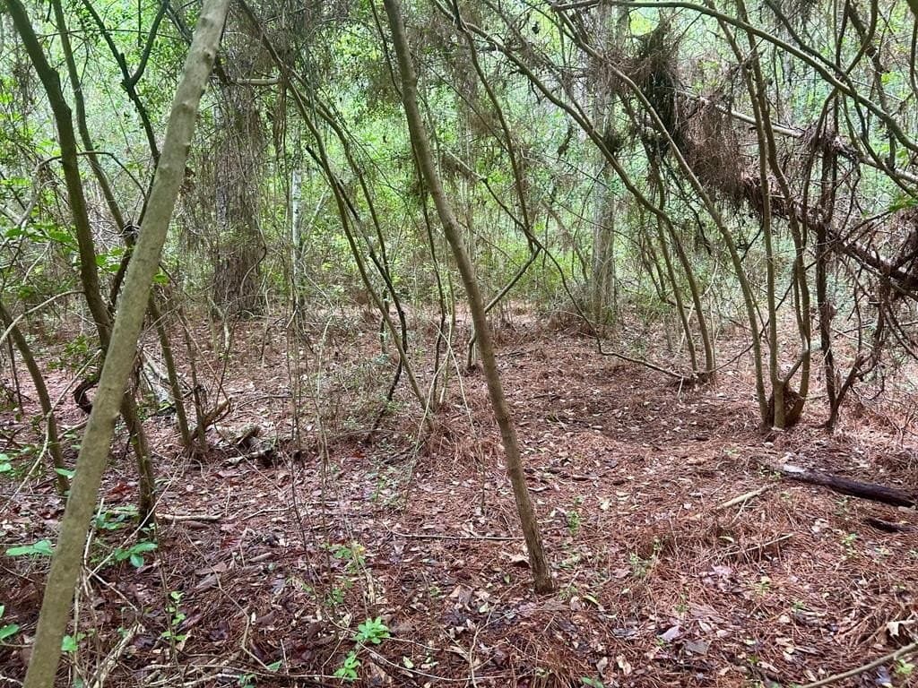 0.9 acres in Texas County gallery image 4