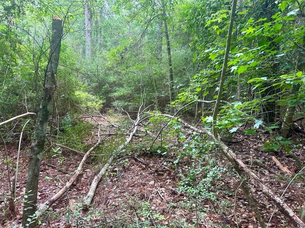 0.9 acres in Texas County - photo 9